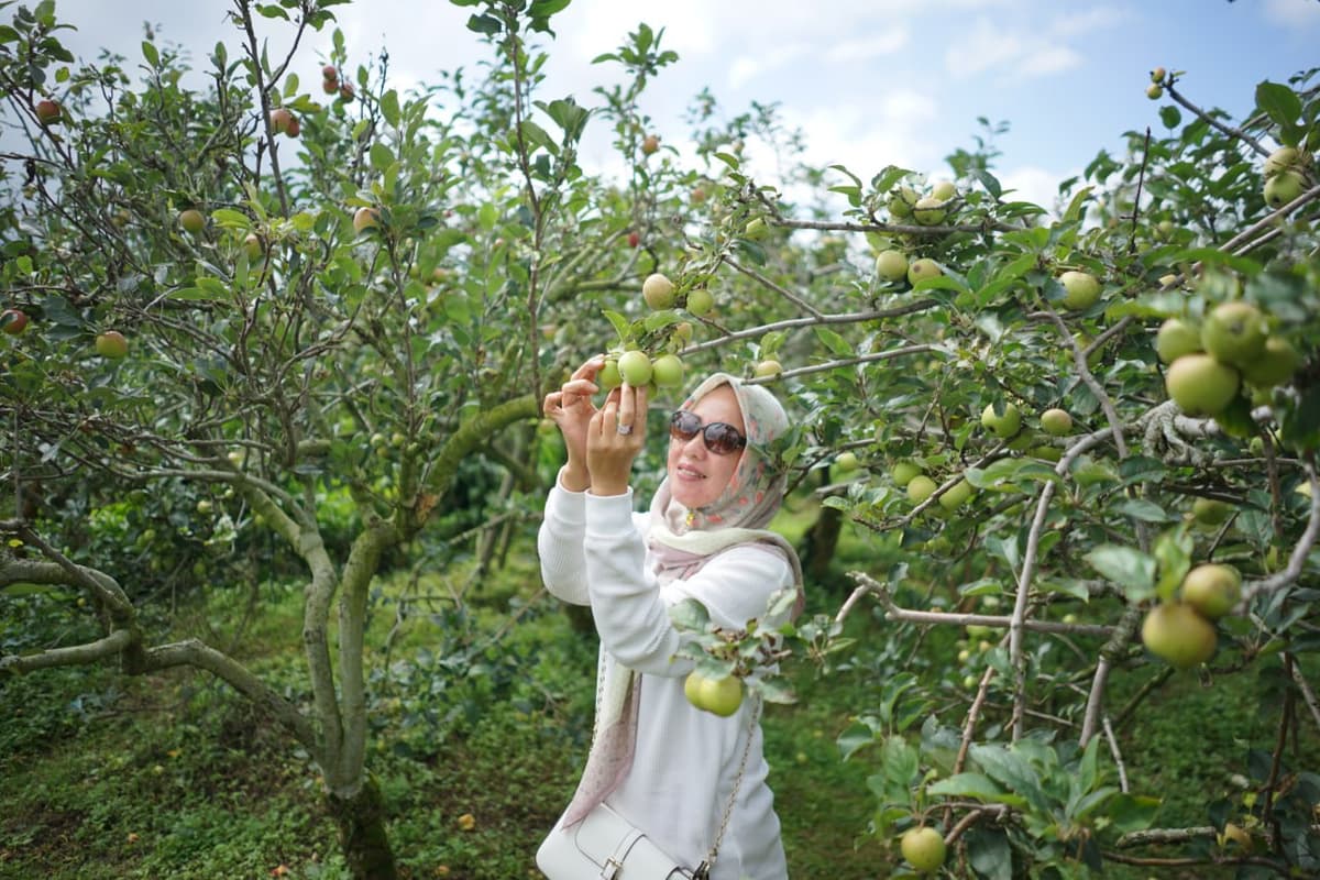 Agrowisata Batu