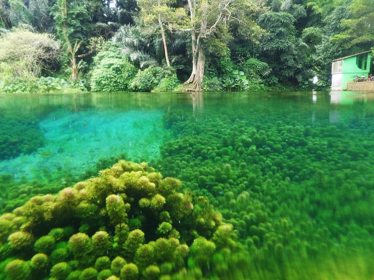 Sumber Sirah