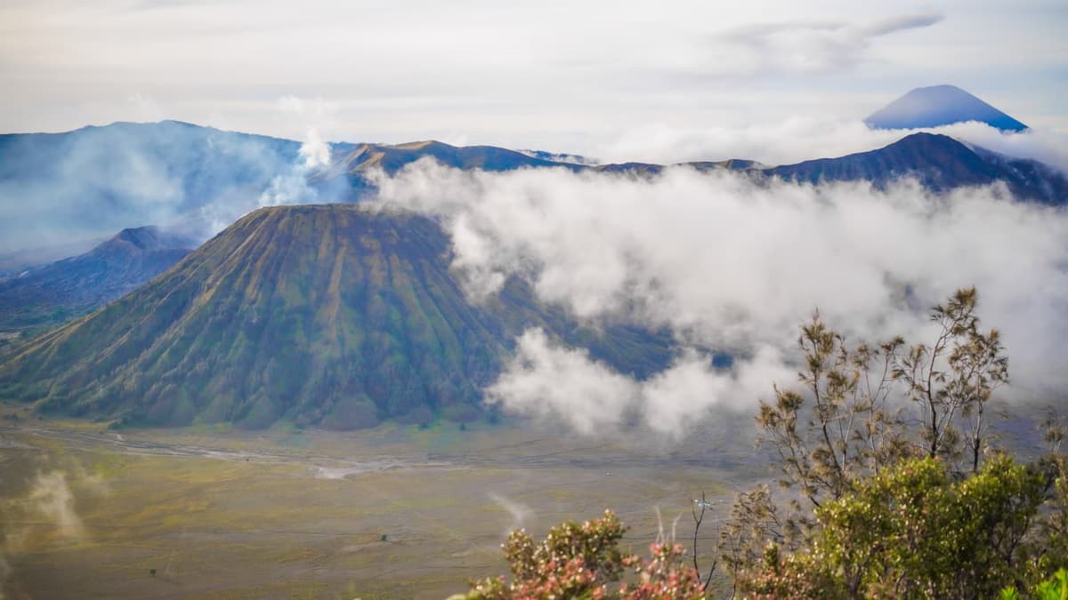Wisata Bromo (Via Wonokitri)